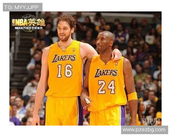 卢篮球明星的传奇之路与辉煌成就探秘