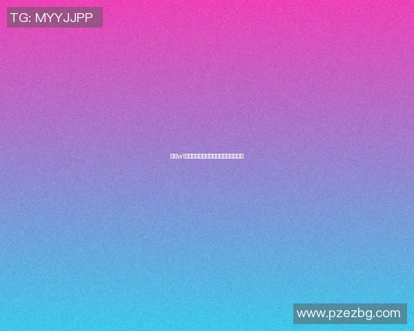 探索wl篮球明星的辉煌历程与背后的奋斗故事